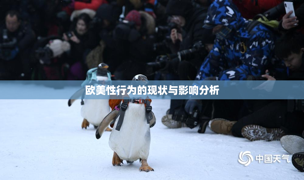 欧美性行为的现状与影响分析