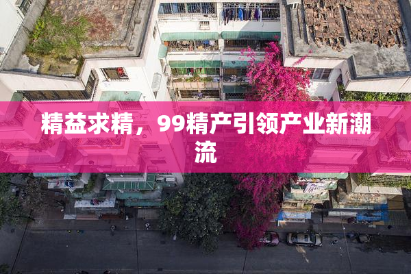 精益求精，99精产引领产业新潮流