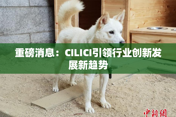 重磅消息：CILICI引领行业创新发展新趋势
