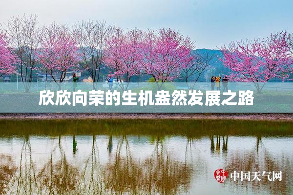 欣欣向荣的生机盎然发展之路