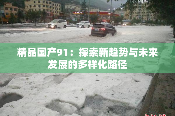 精品国产91：探索新趋势与未来发展的多样化路径