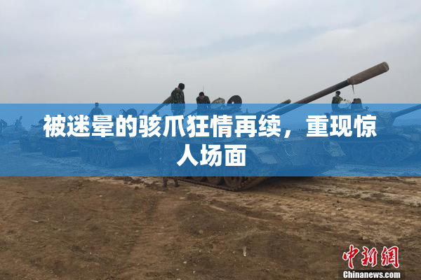 被迷晕的骇爪狂情再续，重现惊人场面