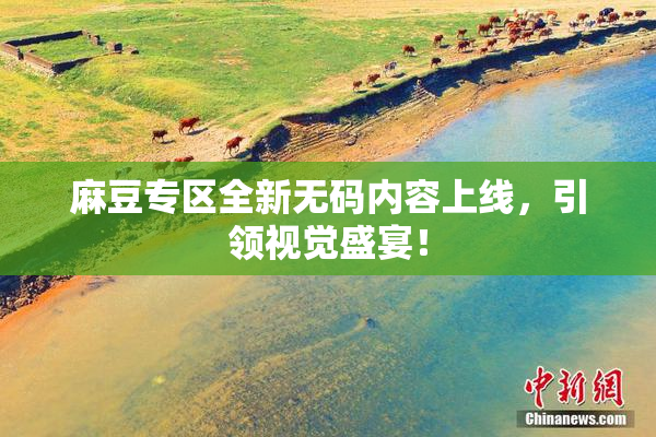 麻豆专区全新无码内容上线，引领视觉盛宴！