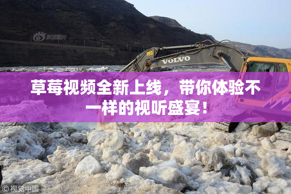 草莓视频全新上线，带你体验不一样的视听盛宴！