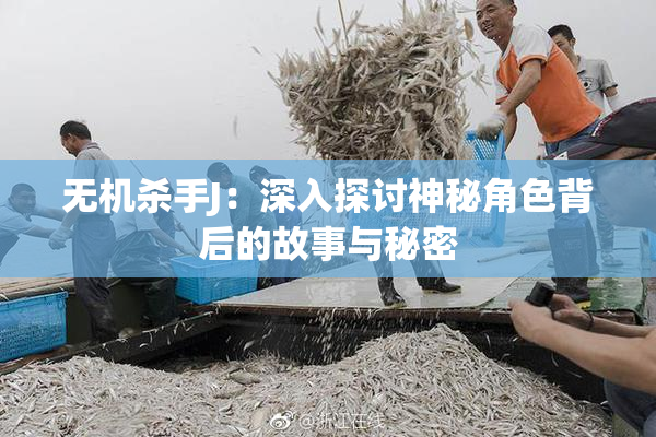 无机杀手J：深入探讨神秘角色背后的故事与秘密