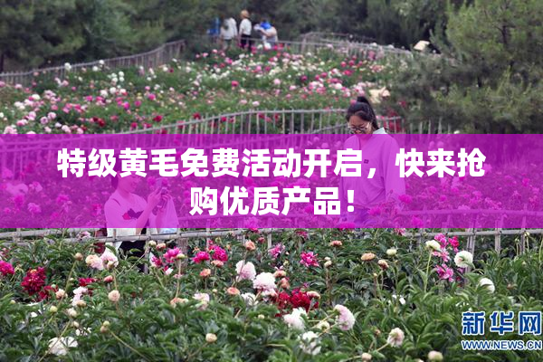 特级黄毛免费活动开启，快来抢购优质产品！