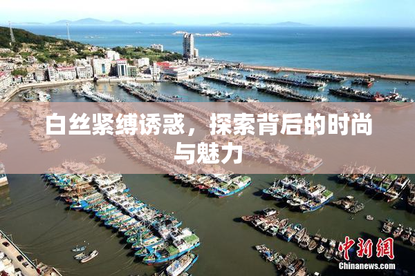白丝紧缚诱惑，探索背后的时尚与魅力