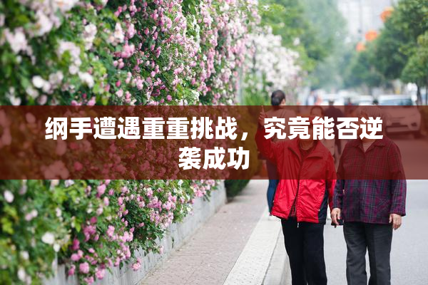 纲手遭遇重重挑战，究竟能否逆袭成功