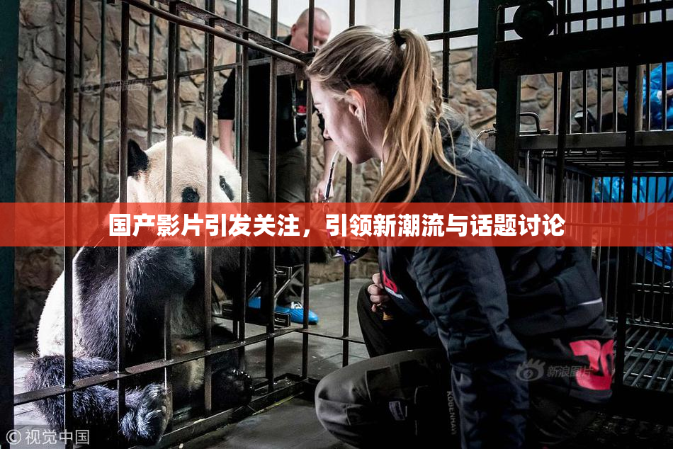 国产影片引发关注，引领新潮流与话题讨论