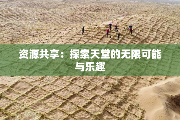 资源共享：探索天堂的无限可能与乐趣