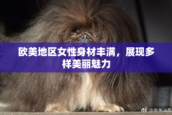 欧美地区女性身材丰满，展现多样美丽魅力