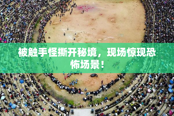 被触手怪撕开秘境，现场惊现恐怖场景！