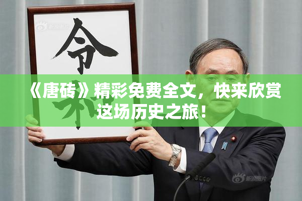 《唐砖》精彩免费全文，快来欣赏这场历史之旅！