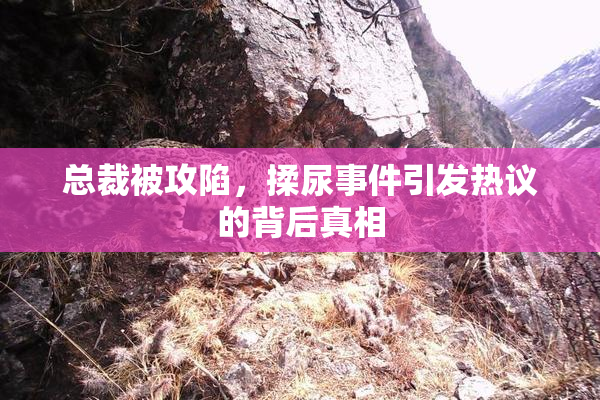 总裁被攻陷，揉尿事件引发热议的背后真相