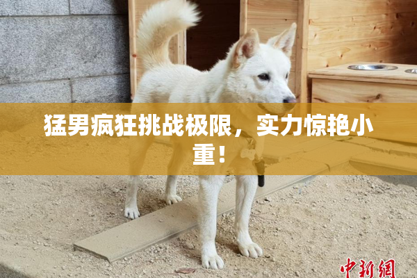 猛男疯狂挑战极限，实力惊艳小重！
