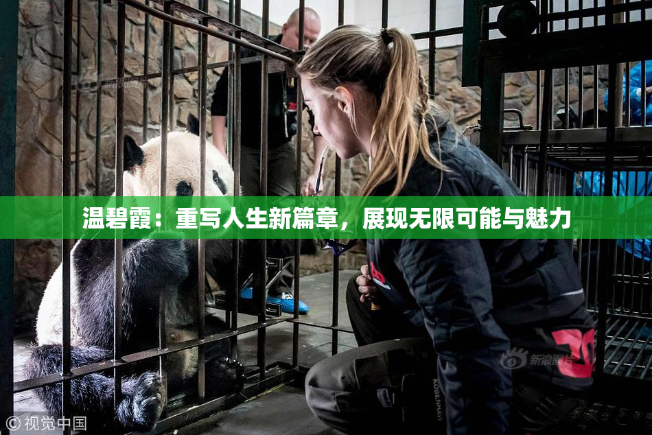 温碧霞：重写人生新篇章，展现无限可能与魅力