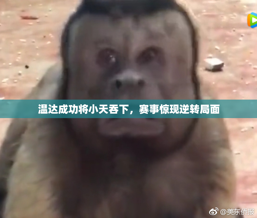 温达成功将小天吞下，赛事惊现逆转局面