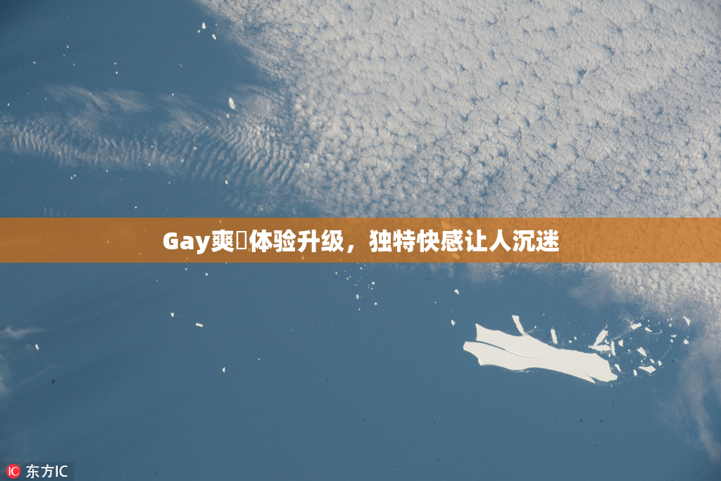 Gay爽擼体验升级，独特快感让人沉迷