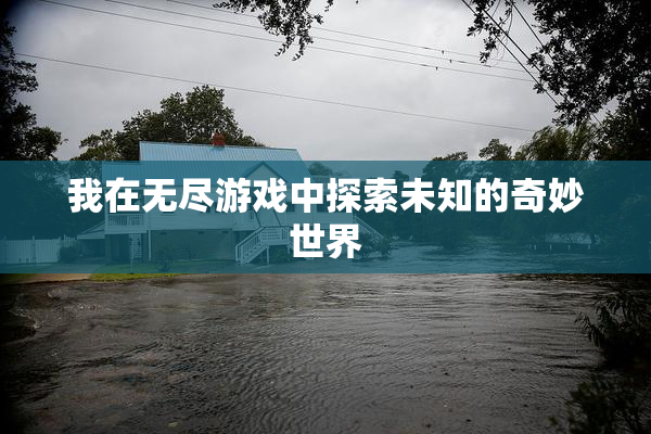 我在无尽游戏中探索未知的奇妙世界