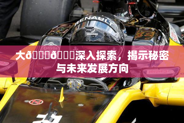 大🐔🐔深入探索，揭示秘密与未来发展方向