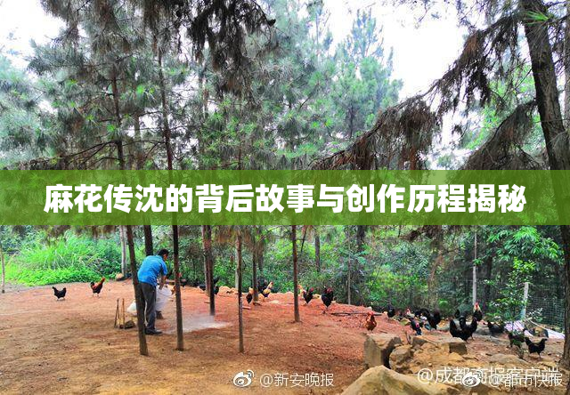 麻花传沈的背后故事与创作历程揭秘