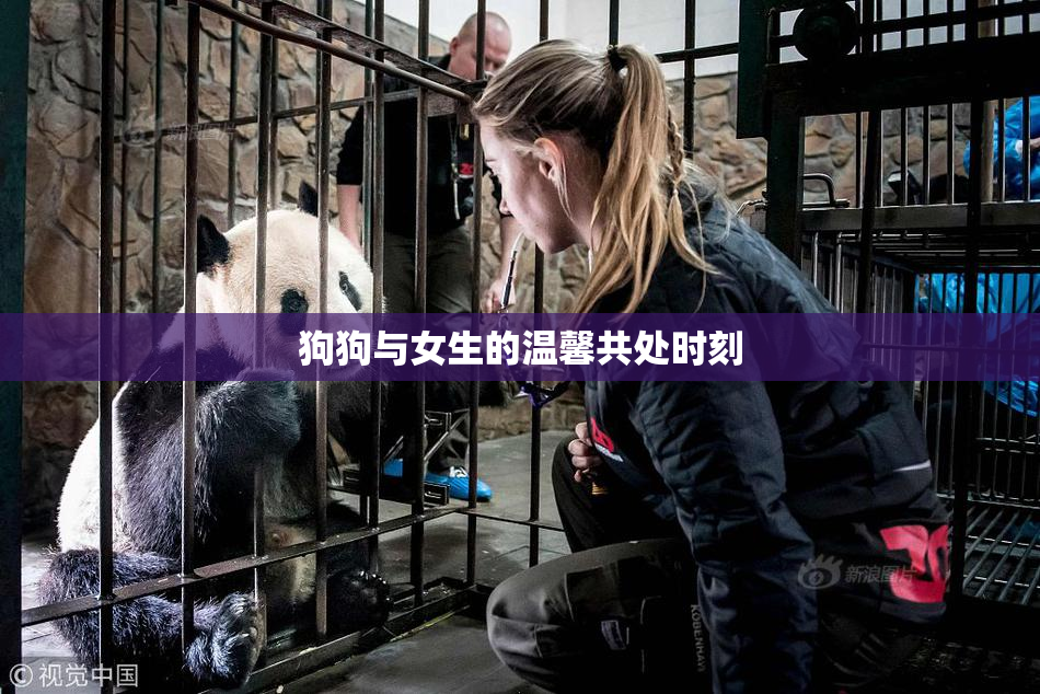 狗狗与女生的温馨共处时刻
