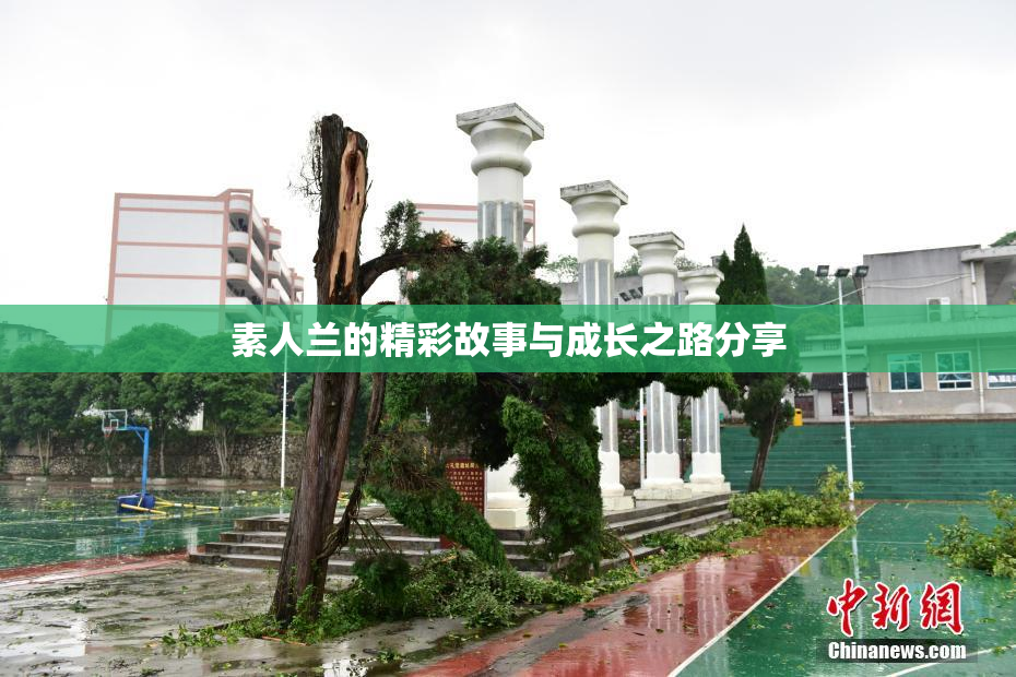 素人兰的精彩故事与成长之路分享