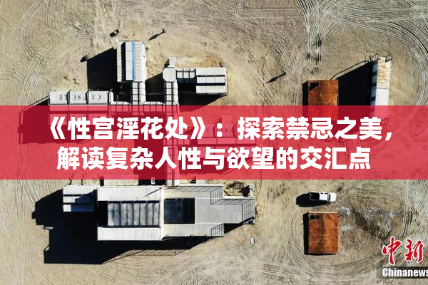 《性宫淫花处》：探索禁忌之美，解读复杂人性与欲望的交汇点
