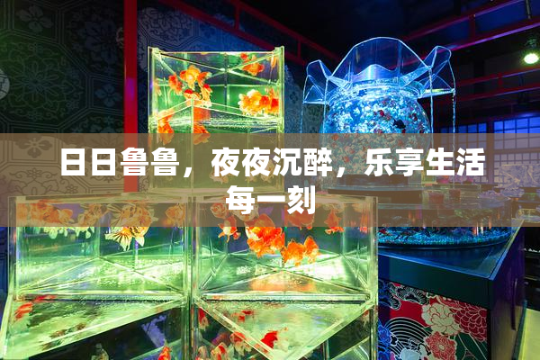 日日鲁鲁，夜夜沉醉，乐享生活每一刻