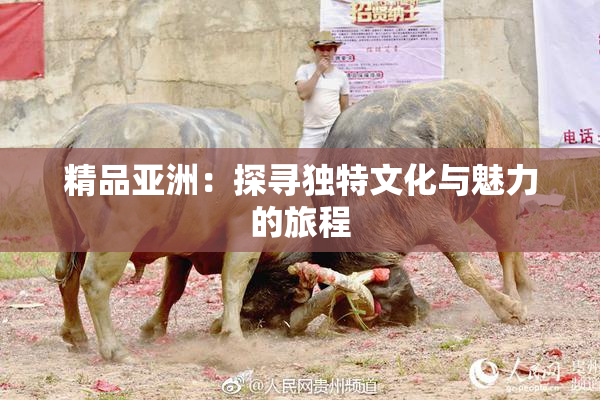 精品亚洲：探寻独特文化与魅力的旅程