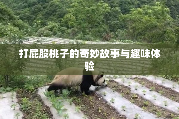 打屁股桃子的奇妙故事与趣味体验