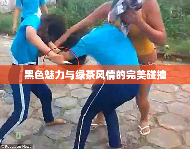 黑色魅力与绿茶风情的完美碰撞