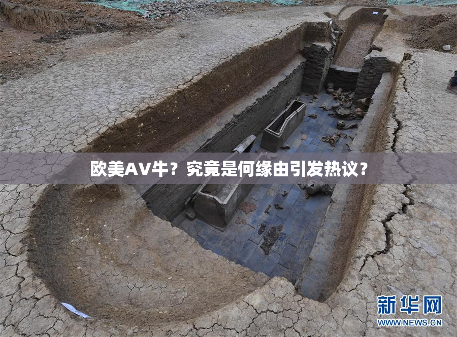 欧美AV牛？究竟是何缘由引发热议？