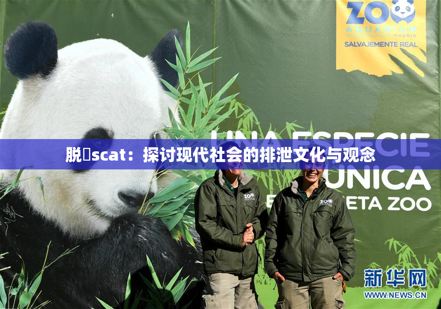 脱糞scat：探讨现代社会的排泄文化与观念