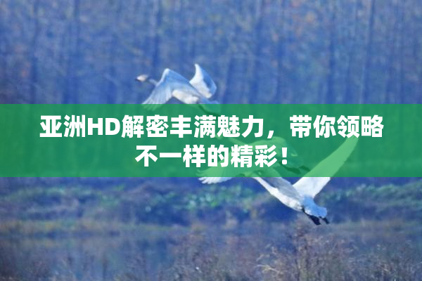 亚洲HD解密丰满魅力，带你领略不一样的精彩！