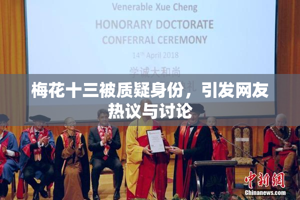梅花十三被质疑身份，引发网友热议与讨论