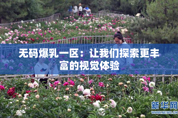 无码爆乳一区：让我们探索更丰富的视觉体验