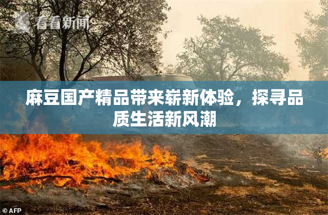 麻豆国产精品带来崭新体验，探寻品质生活新风潮