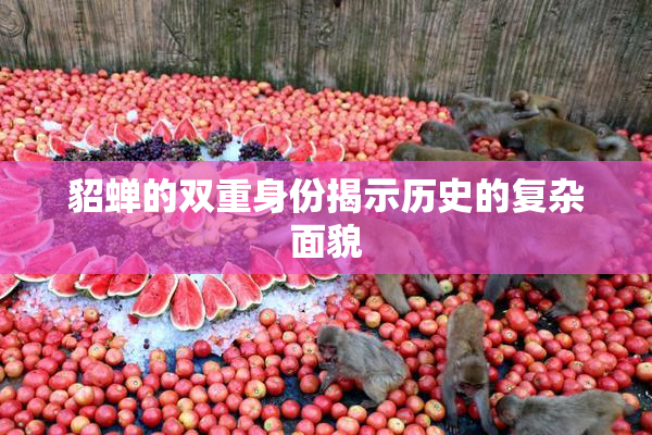 貂蝉的双重身份揭示历史的复杂面貌