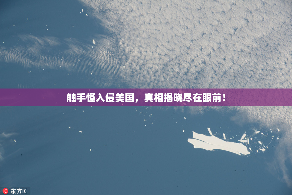 触手怪入侵美国，真相揭晓尽在眼前！