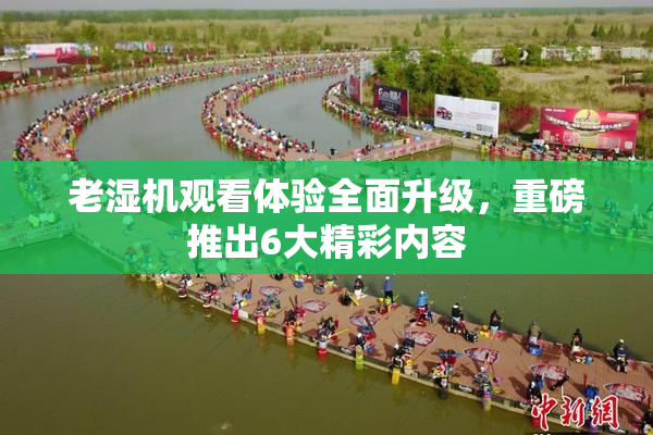老湿机观看体验全面升级，重磅推出6大精彩内容