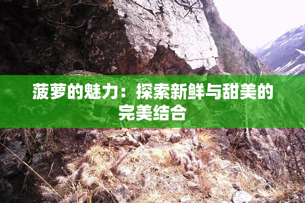 菠萝的魅力：探索新鲜与甜美的完美结合
