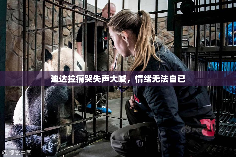 迪达拉痛哭失声大喊，情绪无法自已