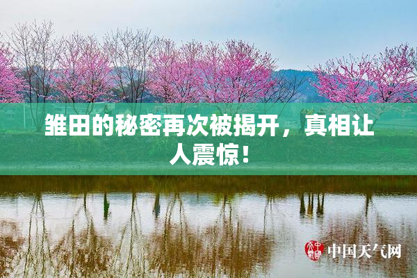 雏田的秘密再次被揭开，真相让人震惊！