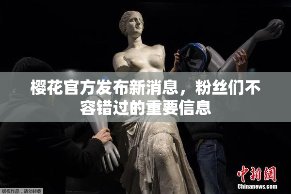 樱花官方发布新消息，粉丝们不容错过的重要信息