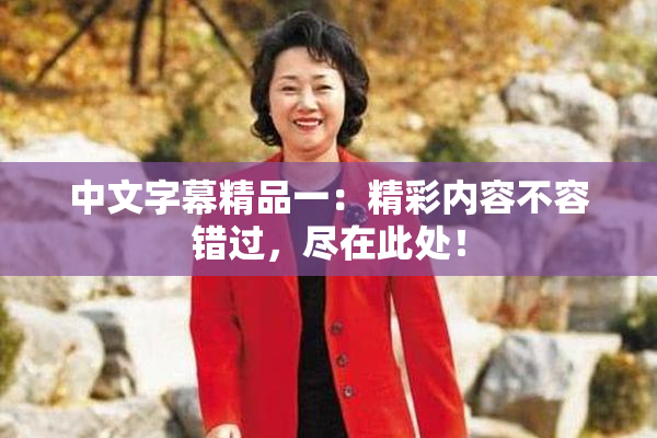 中文字幕精品一：精彩内容不容错过，尽在此处！