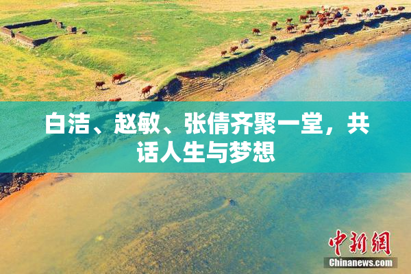 白洁、赵敏、张倩齐聚一堂，共话人生与梦想