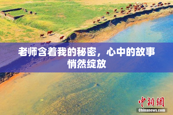 老师含着我的秘密，心中的故事悄然绽放