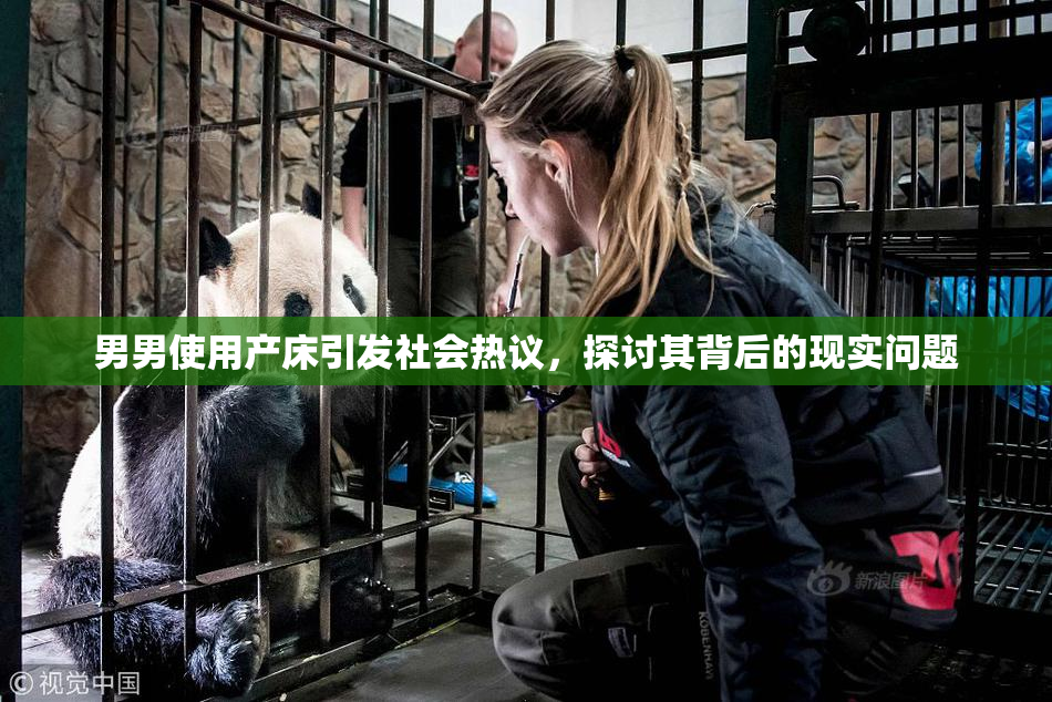 男男使用产床引发社会热议，探讨其背后的现实问题