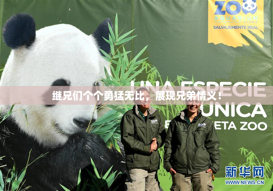 继兄们个个勇猛无比，展现兄弟情义！